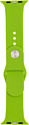 Evolution AW44-S01 для Apple Watch 42/44 мм (green)