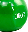 Protrain DB3076-10 10 кг