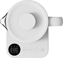 Xiaomi Multifunctional Kettle MJDGNYSH04DEM (евровилка)