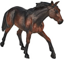 Konik Лошадь Квотерхорс Темно-гнедая AMF1051