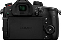 Panasonic Lumix GH5 II Body