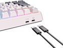 Royal Kludge RK-H81 RGB white, RK Brown