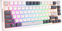 Royal Kludge RK-H81 RGB white, RK Brown