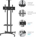 Arm Media PT-STAND-12