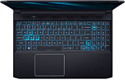 Acer Predator Triton 300 PT315-52-76XV (NH.Q7CER.00C)