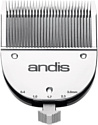 Andis Ionica [68225]