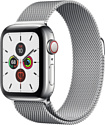 Apple Watch Series 5 40mm GPS + Cellular Stainless Steel Case with Milanese Loop