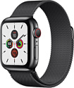 Apple Watch Series 5 40mm GPS + Cellular Stainless Steel Case with Milanese Loop