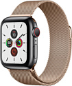 Apple Watch Series 5 40mm GPS + Cellular Stainless Steel Case with Milanese Loop