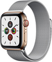 Apple Watch Series 5 40mm GPS + Cellular Stainless Steel Case with Milanese Loop