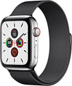 Apple Watch Series 5 44mm GPS + Cellular Stainless Steel Case with Milanese Loop