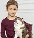 Hansa Сreation Собака сибирский хаски 4824 (40 см)