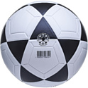 Atemi Goal PVC (5 размер, белый/черный)