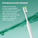 Philips Battery Toothbrush HY1100/03