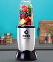 NutriBullet Magic Bullet MBR10