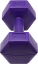 BaseFit DB-305 2x2 кг (фиолетовый)