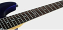 Schecter SGR C-1 EB