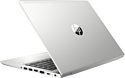 HP ProBook 445 G6 (6MQ09EA)