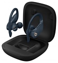 Beats Powerbeats Pro