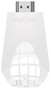 AnyCast K4