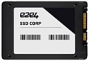 e2e4 480 GB CORP 480Gb