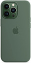 Apple MagSafe Silicone Case для iPhone 13 Pro (эвкалиптово-зеленый)