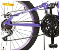 Profi Trike G24S226-2