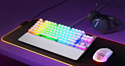 SteelSeries Apex 7 TKL Ghost нет кириллицы