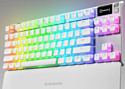 SteelSeries Apex 7 TKL Ghost нет кириллицы