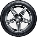 Nexen/Roadstone WinGuard WinSpike 3 225/50 R17 98T