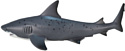 Konik Тупорылая акула AMS3009