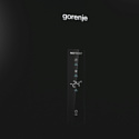 Gorenje FN619EABK6