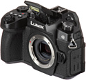 Panasonic Lumix DC-G95 Kit