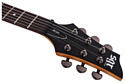 Schecter SGR 006