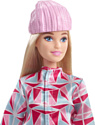 Barbie Snowboarder HCN32