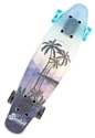 Sunset Skateboard Tres Palms Complete 22