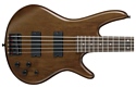 Ibanez GSR205B