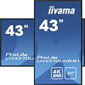 Iiyama ProLite LH4370UHB-B1