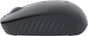 Logitech M196 graphite