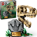 LEGO Jurassic World 76964 Окаменелости динозавров Череп тиранозавра