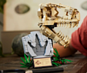 LEGO Jurassic World 76964 Окаменелости динозавров Череп тиранозавра