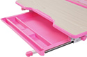 Fun Desk Lavoro L (розовый)