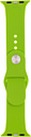 Evolution AW40-S01 для Apple Watch 38/40 мм (green)