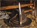 Boker 110910 Cattle Knife Curly Birch