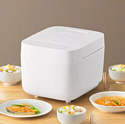 Xiaomi Mijia Rice Cooker C1 3L MDFBZ02ACM