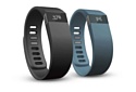 Fitbit Flex