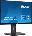 Iiyama ProLite XUB2390HS-B5