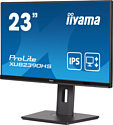 Iiyama ProLite XUB2390HS-B5