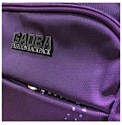 Gaoba Limited Edition 6511 фиолетовый