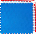 DFC ППЭ-2020 12272 (синий/красный)